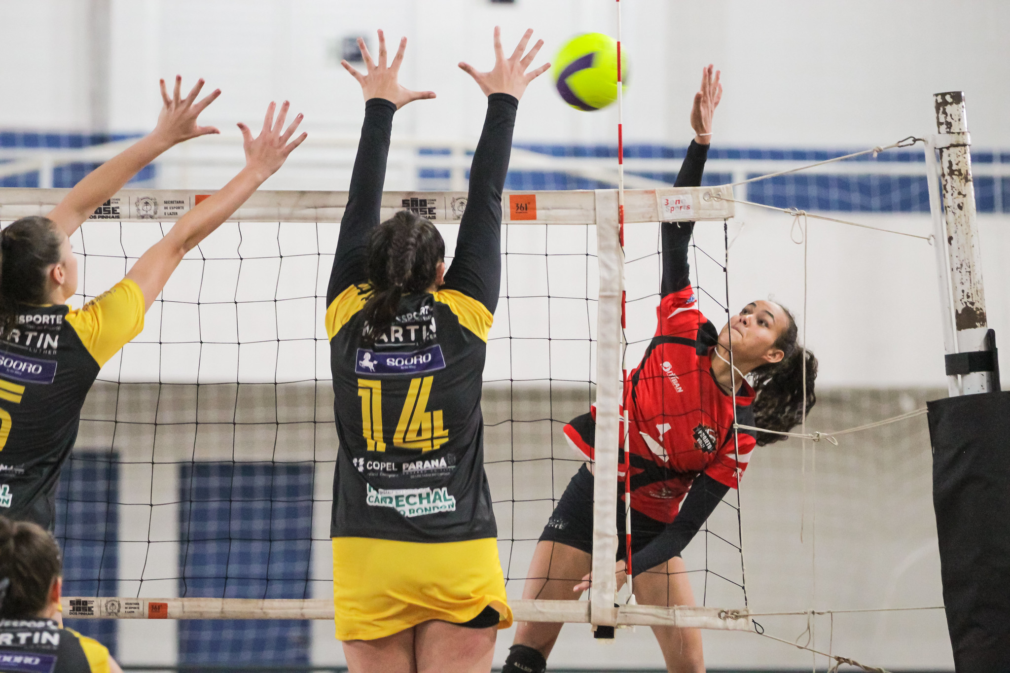 Classificados definidos: Pato Vôlei fica com última vaga do feminino e  Unilife garante classificação no masculino – Volei Parana