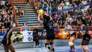 São José dos Pinhais/ Aiel