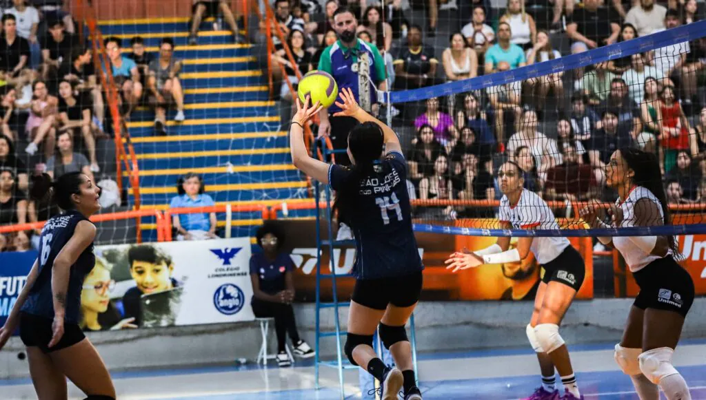 São José dos Pinhais/ Aiel