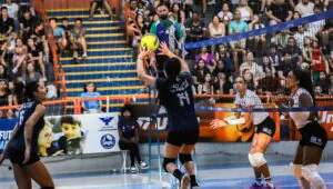 São José dos Pinhais/ Aiel